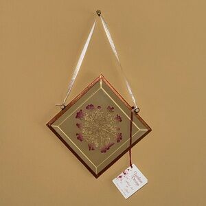 ɴᴡᴛ Hanging Frame with Queen Anne's Lace🌼